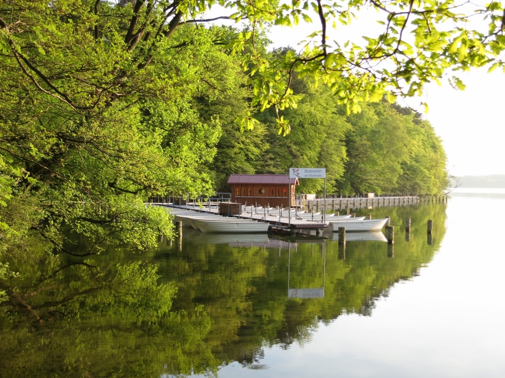 stechlinsee bootsverleih